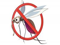 Continua la lotta alle zanzare, prossimi interventi il 23 e 24 Maggio