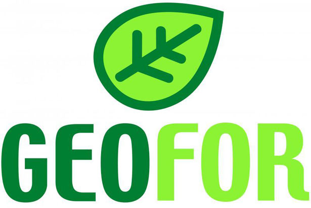 Logo Geofor