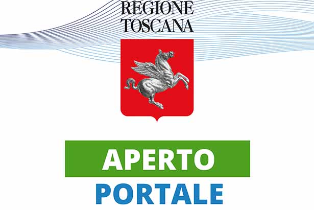 portale danni