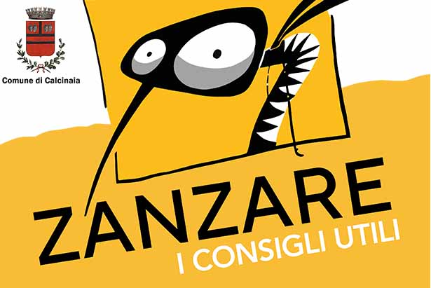 zanzare