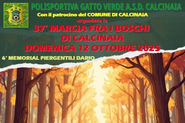 Marcia fra i boschi