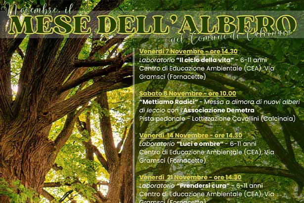 Il mese dell'albero