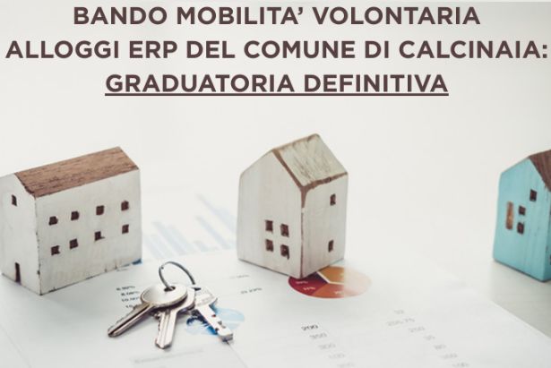 mobilità erp