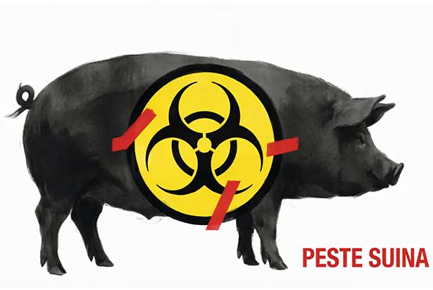 Peste-suina