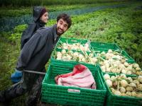 La Regione Toscana sostiene nuove attività agricole avviate da giovani under 41