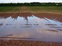 L'ordinanza commissariale della Regione Toscana per l'erogazione dei contributi alle attività agricole interessate dagli eventi alluvionali